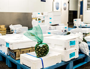 Deloye Marée valorise les coproduits de la mer en engrais, dans une démarche originale de logistique inversée, mise en place par Veolia en partenariat le transporteur STEF seafood.