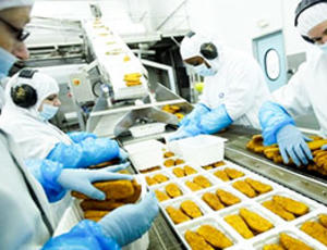 Des employés de Cité Marine en train de trier les poissons panés et les biodéchets issus de son activité industrielle.