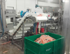 Chez Mericq, une caisse-palette Veolia placée à côté de la ligne de découpe du saumon permet la récupération les déchets de parage pour les valoriser en engrais biologique