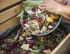 Collecter les biodéchets et les déchets alimentaires des ménages : Veolia compose sur mesure une solution adaptée aux caractéristiques de chaque collectivité