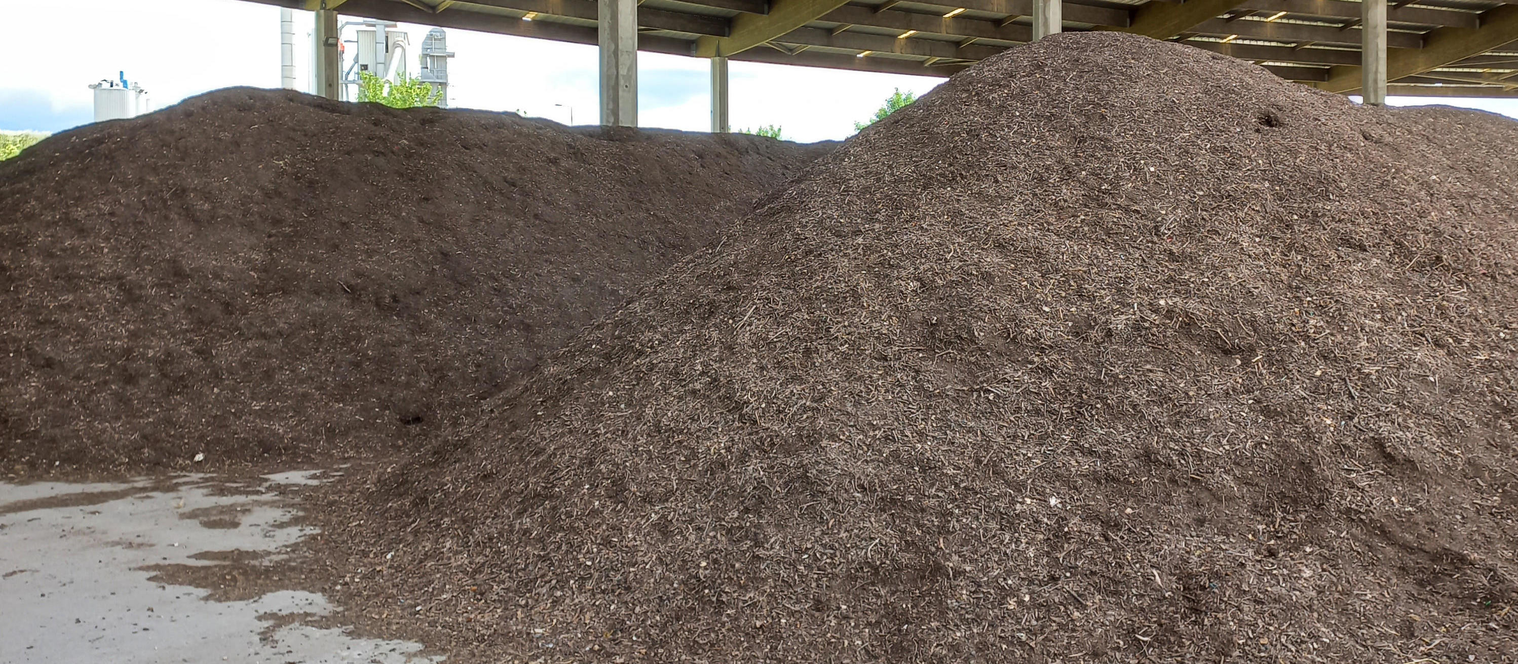 UNITÉ DE VALORISATION AGRONOMIQUE, AUREADE (51)