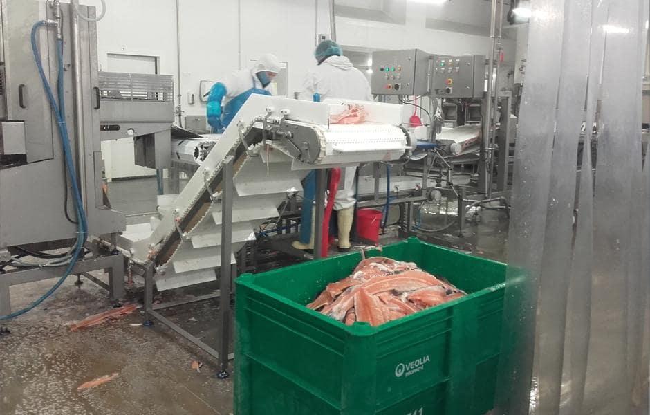 Chez Mericq, une caisse-palette Veolia placée à côté de la ligne de découpe du saumon permet la récupération les déchets de parage pour les valoriser en engrais biologique
