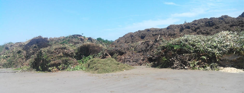 À côté de Tarbes, Veolia produit du compost et du combustible pour chaudières à bois à partir de déchets verts.