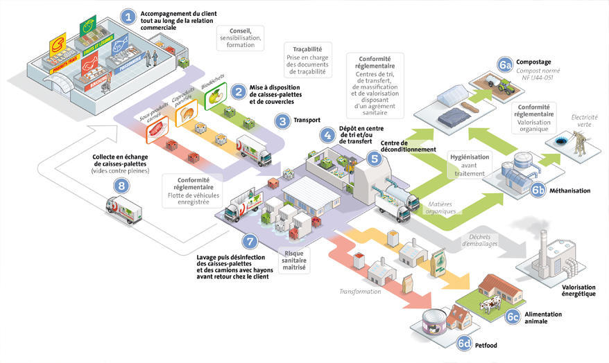 Schéma de la collecte des biodéchets jusqu’à leurs valorisations