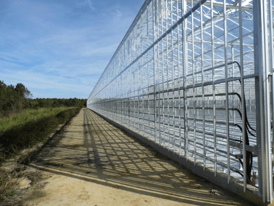 L’éco-serre des Paysans de Rougeline à Lapouyade exploite l’eau à 90°c issue de la production d’électricité à partir du biogaz produit par l’ISDND Veolia à Lapouyade (photo GIE Brock - janvier 2016).